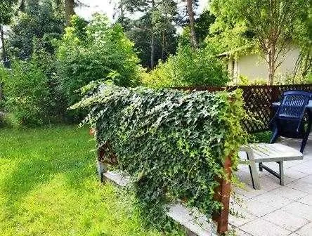 Im Gruenen, 50 M Zum Krakow am See